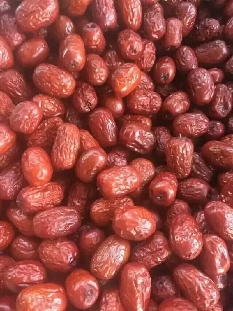 批发供应新疆特产特级若羌红枣灰枣散装袋装食品批发免洗大枣