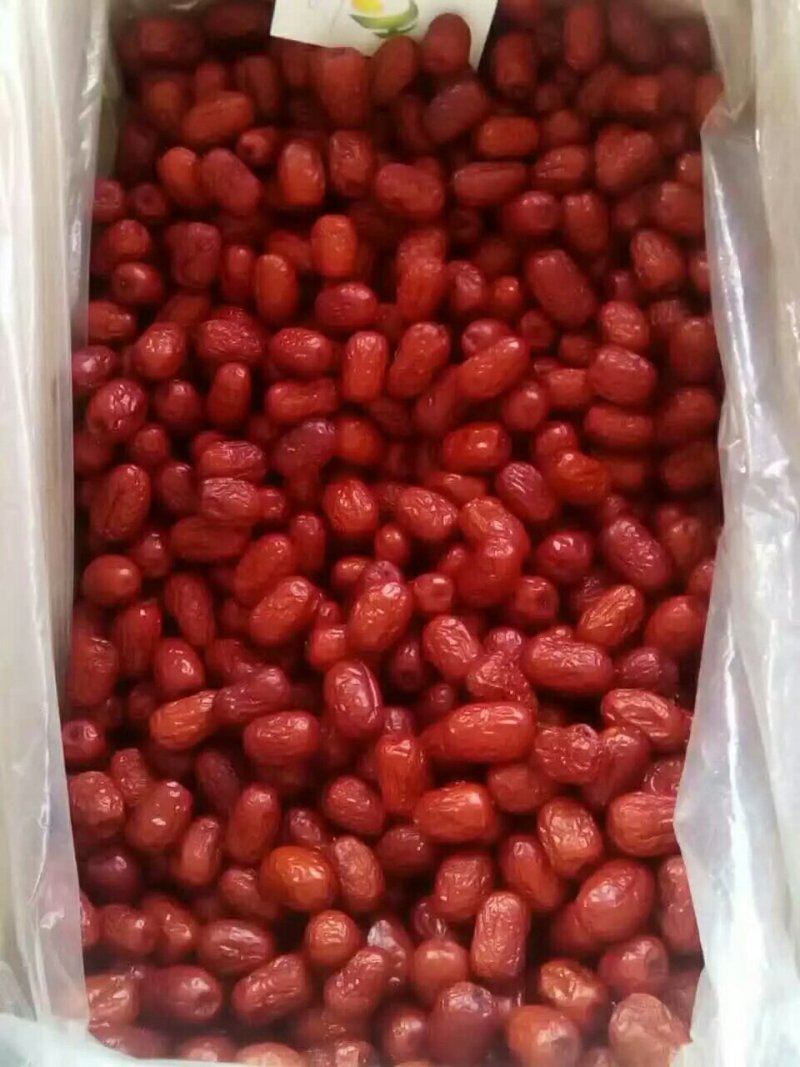 批发供应新疆特产特级若羌红枣灰枣散装袋装食品批发免洗大枣