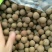 批发供应散装新货蜜饯零食干桂圆干小核龙眼干肉厚A级大果