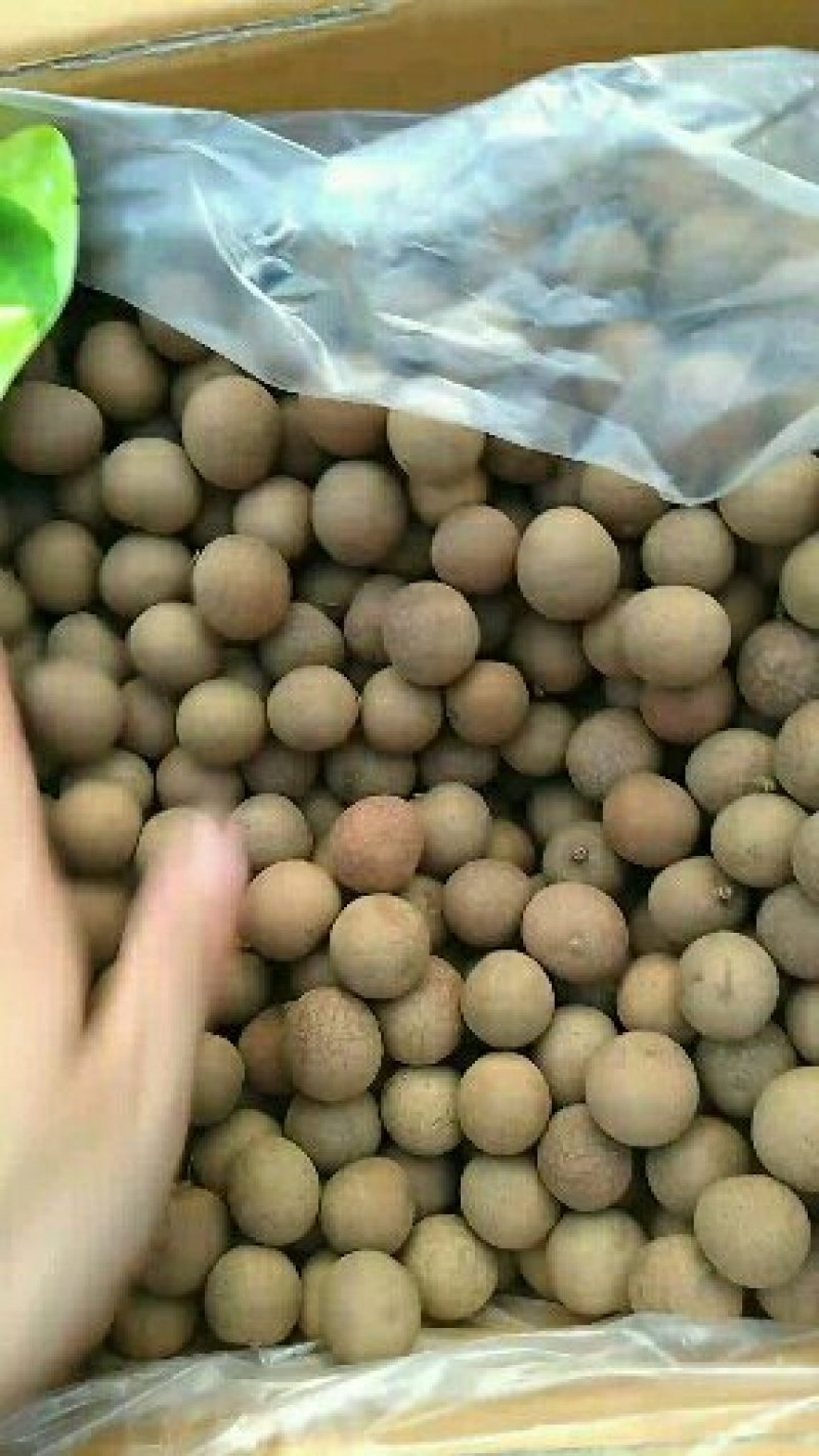 批发供应散装新货蜜饯零食干桂圆干小核龙眼干肉厚A级大果