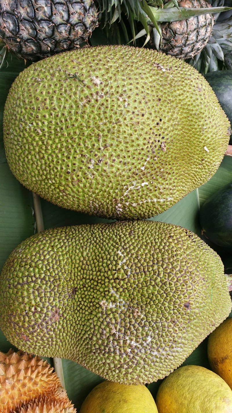 泰国菠萝蜜