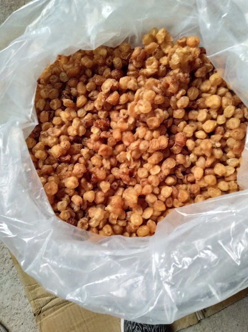 桂圆肉桂圆干高州产地直发2022新货味道香颜色鲜