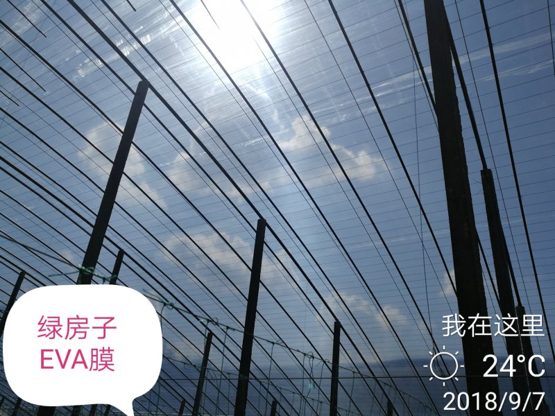 EVAPO膜纯进口原料，质量保证，客户放心