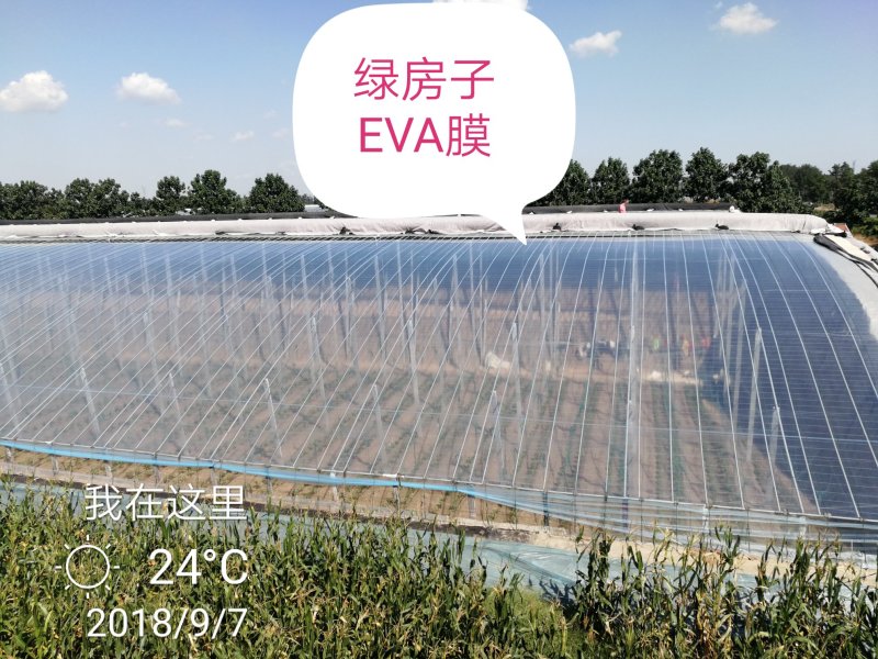 EVAPO膜纯进口原料，质量保证，客户放心