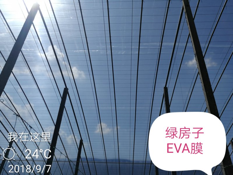 EVAPO膜纯进口原料，质量保证，客户放心