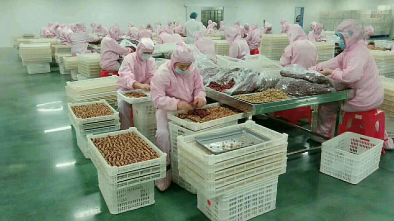 批发供应新疆骏枣夹核桃仁优等肉枣夹整个核桃超市零售热销