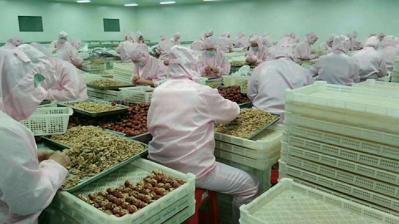 批发供应新疆骏枣夹核桃仁优等肉枣夹整个核桃超市零售热销