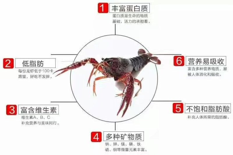 盱眙龙虾尾特级龙虾尾一级龙虾尾