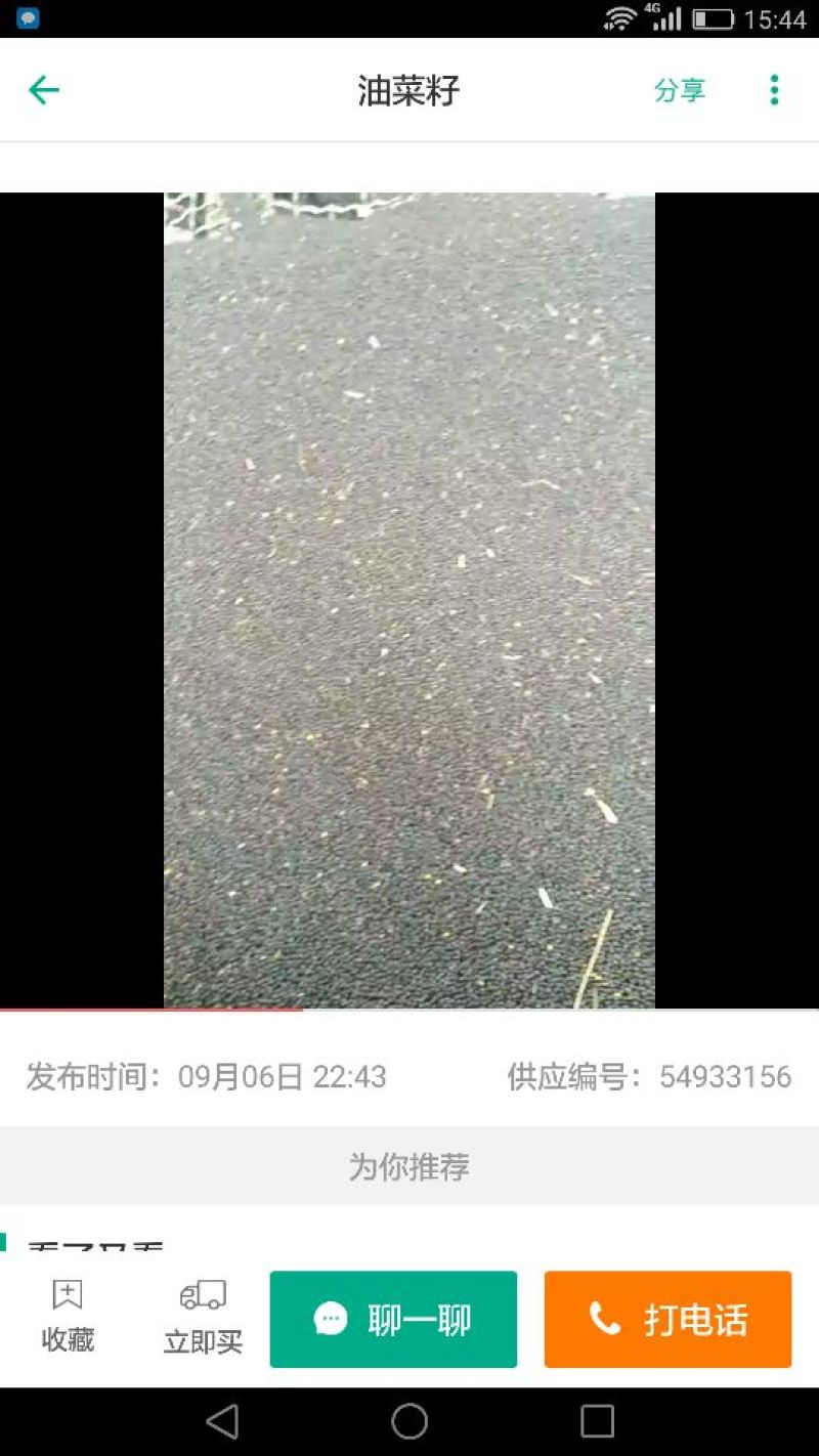江汉平原优质油菜籽