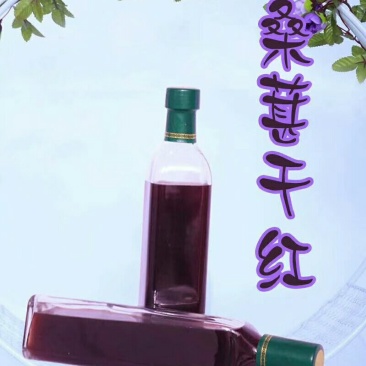 桑葚酒