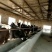 肉驴