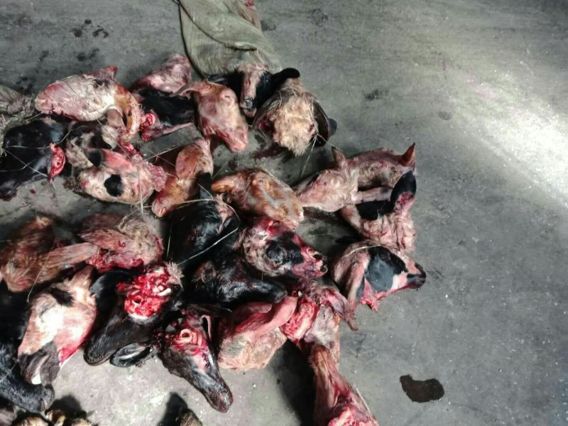 羊头混装白7黑花3