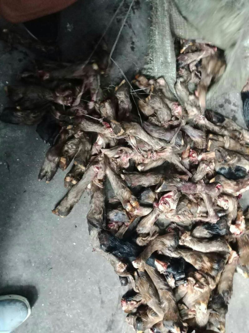 羊头混装白7黑花3