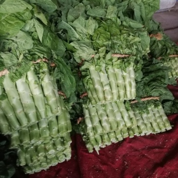 兰陵县同兴蔬菜市场，三青莴笋大量上市中，