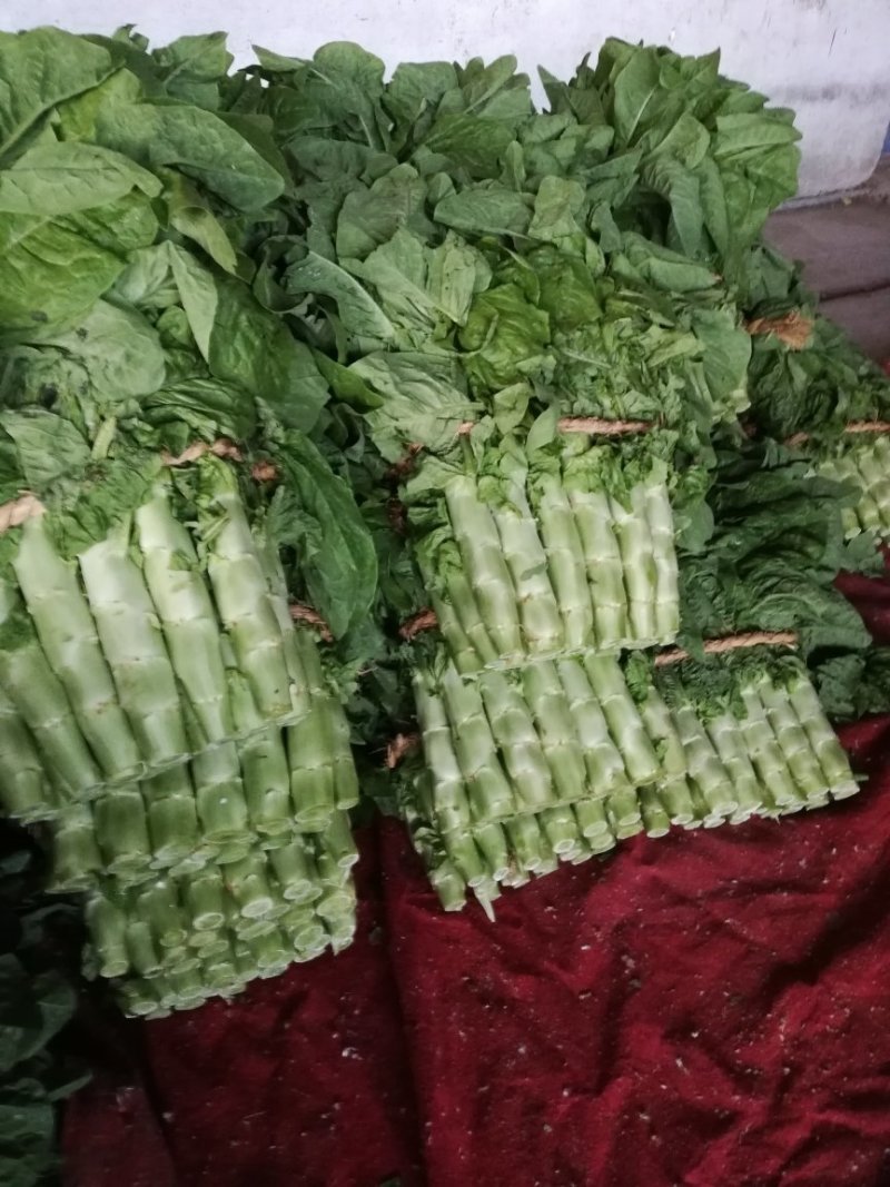 兰陵县同兴蔬菜市场，三青莴笋大量上市中，
