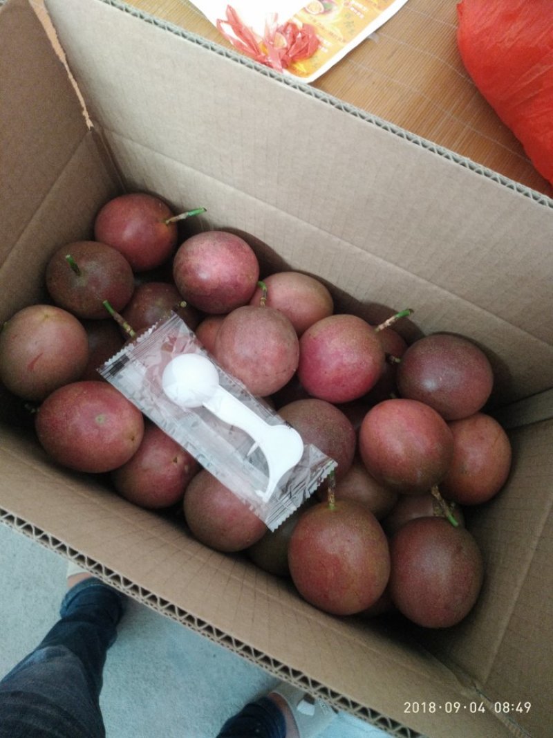 百香果，紫香1号百香果