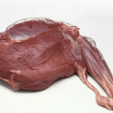 梅花鹿肉