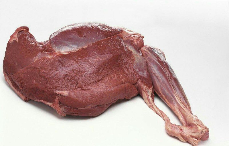 梅花鹿肉