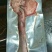 梅花鹿肉