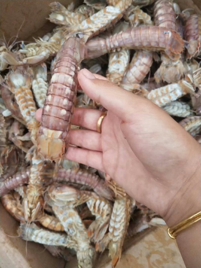 琵琶虾