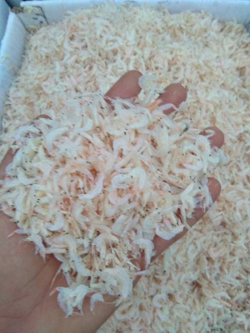 无盐淡干特级虾皮