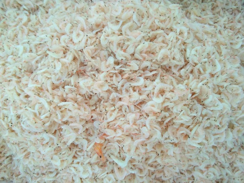 无盐淡干特级虾皮