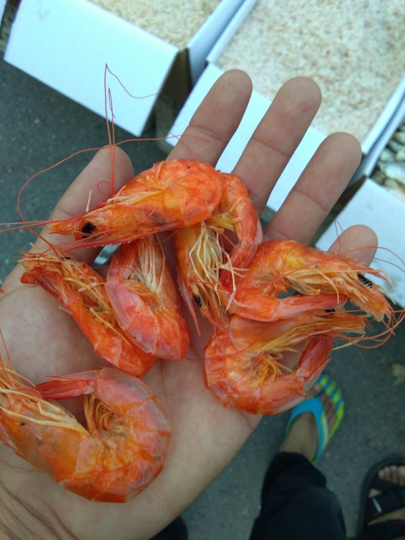 烤虾