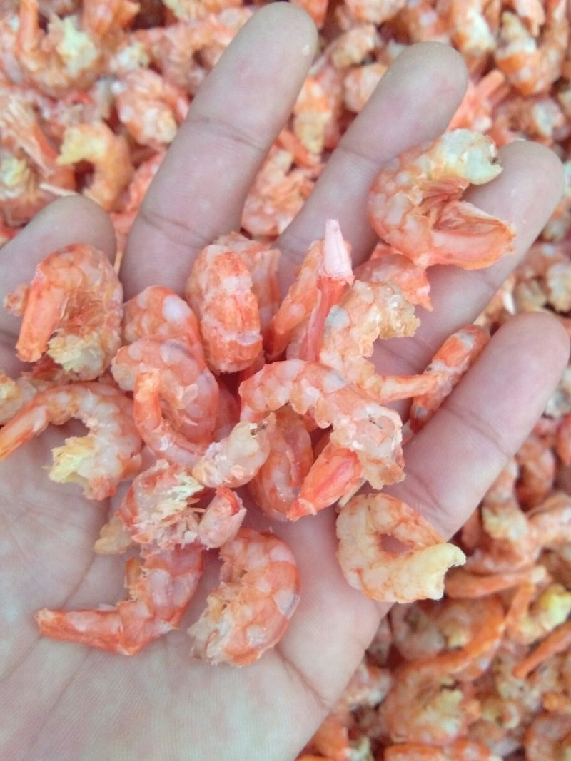 白葱大海米