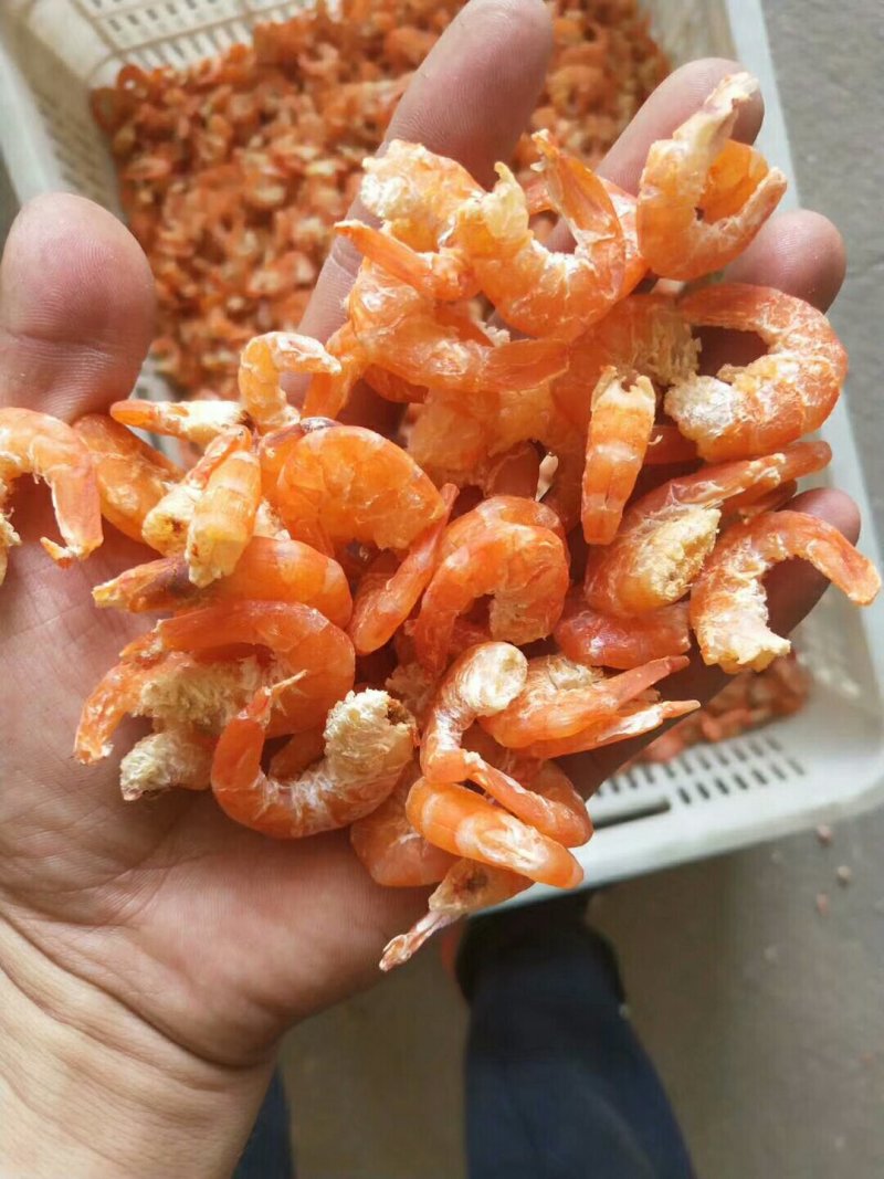 对虾米