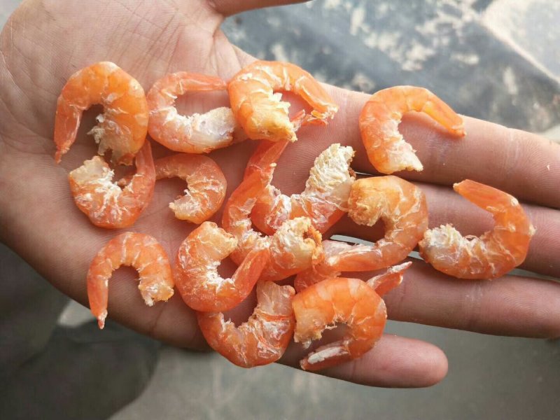 对虾米