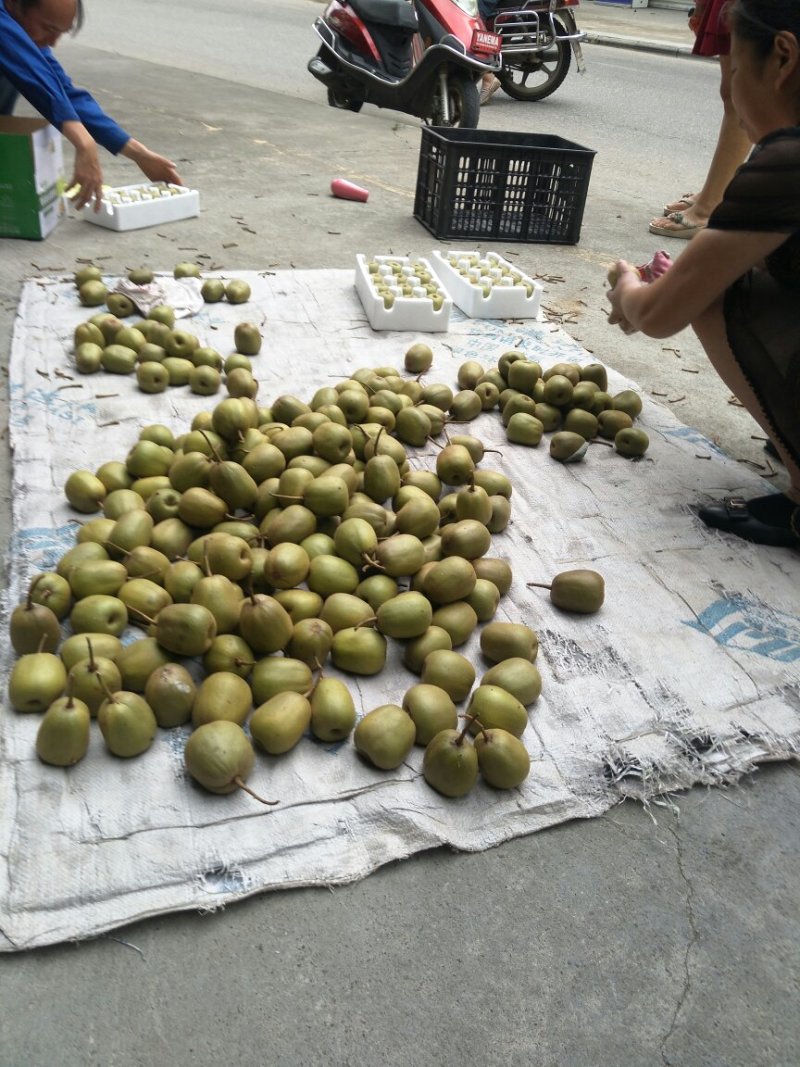 苍溪土特产红心猕猴桃绿肉红心口感好含全国包邮假一赔一