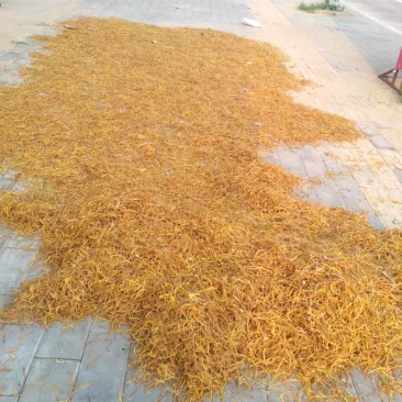 干黄花菜，自产自销，原菜无污染。