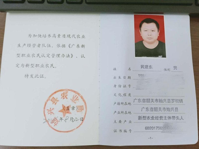 黑老虎，布福娜长寿果，1箱4斤158元