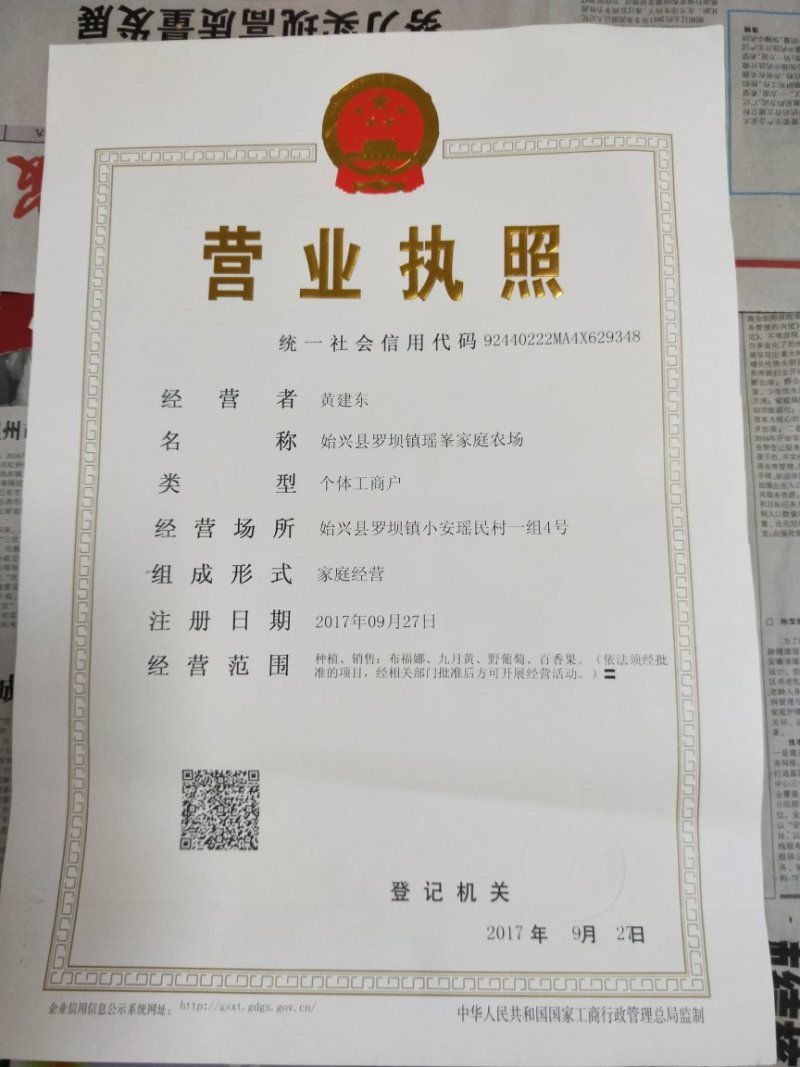 黑老虎，布福娜长寿果，1箱4斤158元
