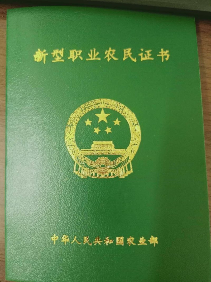 黑老虎，布福娜长寿果，1箱4斤158元