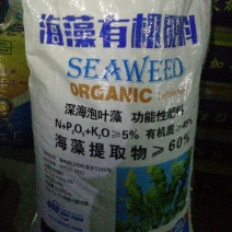 海藻提取物60%深海泡叶藻！真正的海藻肥