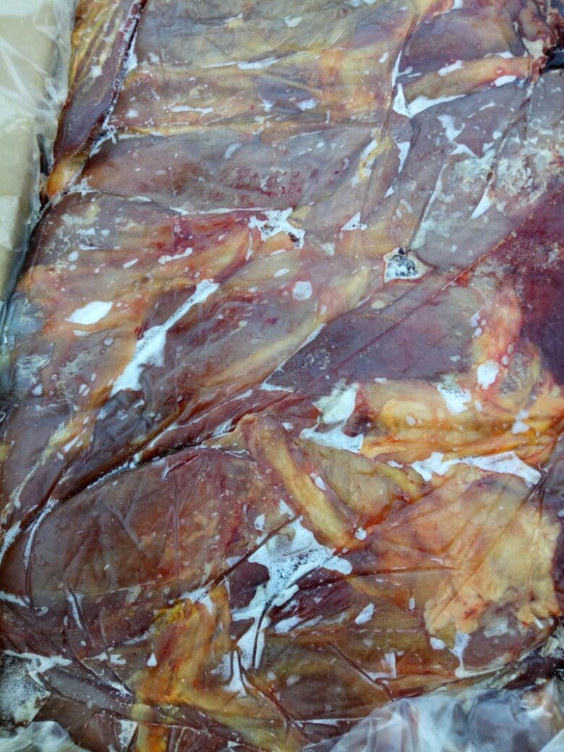 驴肉请选购驴肉马肉板肠下水