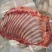 驴肉请选购驴肉马肉板肠下水
