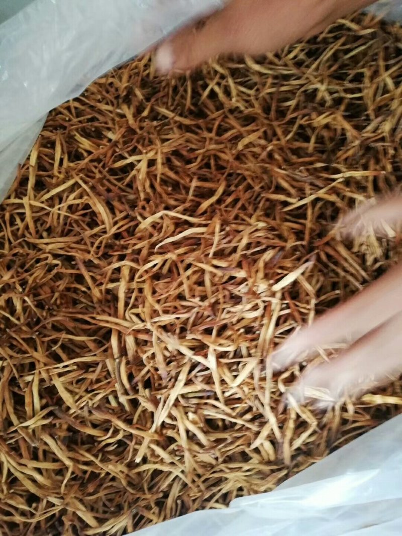 优质无硫黄花菜大量供应中