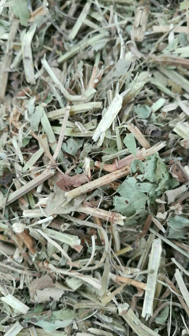 大量优质牛羊草料花生秧