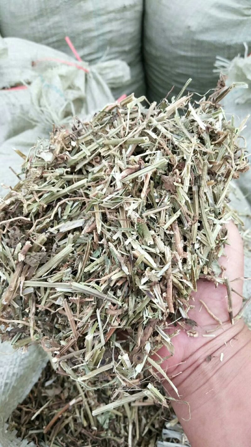 大量优质牛羊草料花生秧