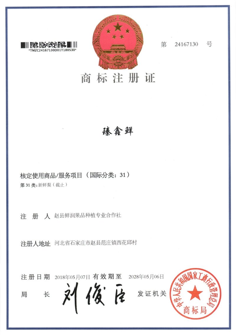 河北赵县皇冠梨产地冷库直供保证质量
