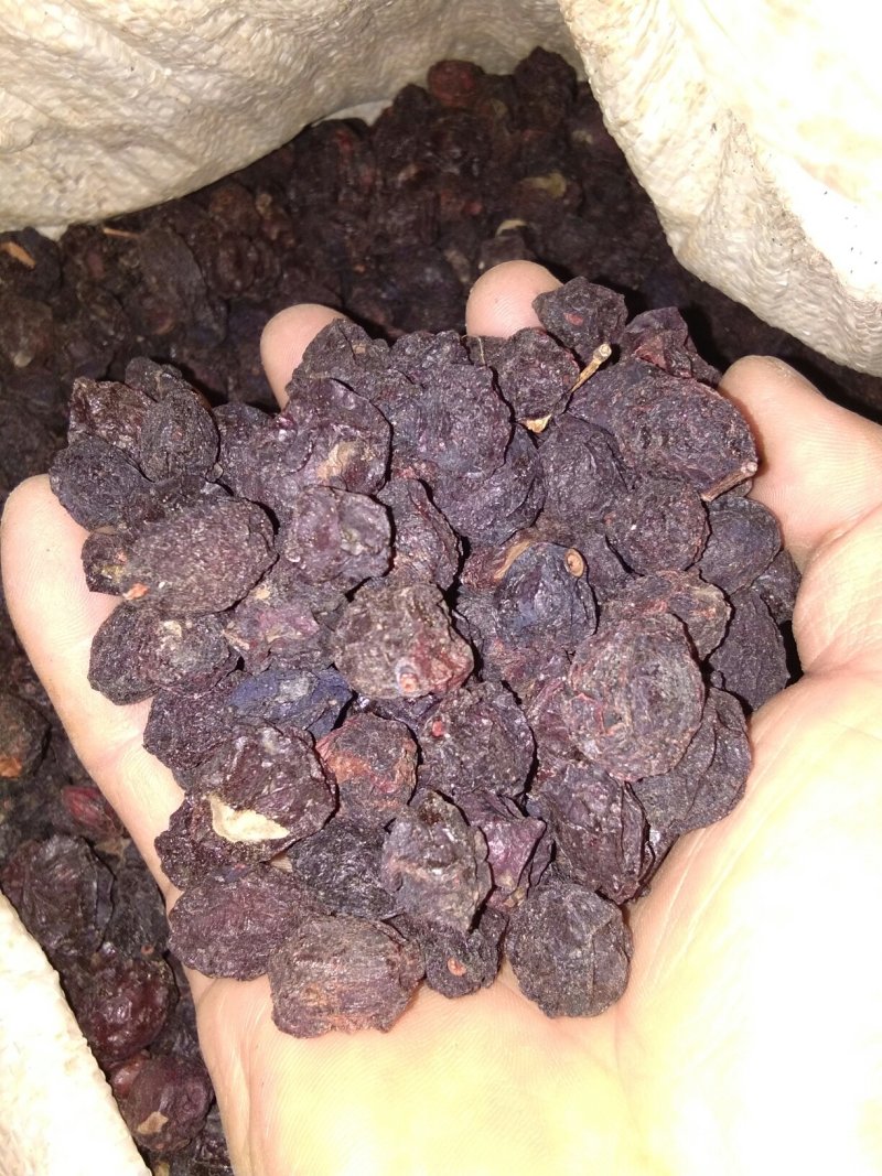 野生乌梅——乌梅汤药食两用