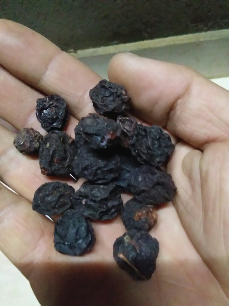野生乌梅——乌梅汤药食两用