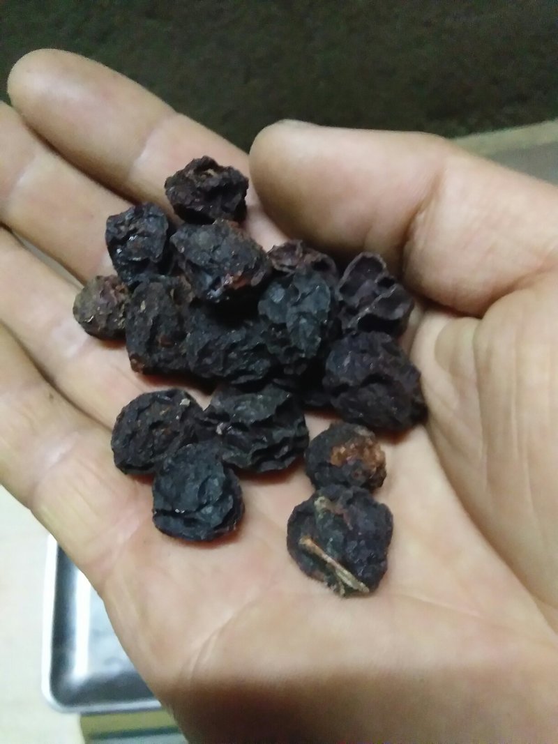 野生乌梅——乌梅汤药食两用