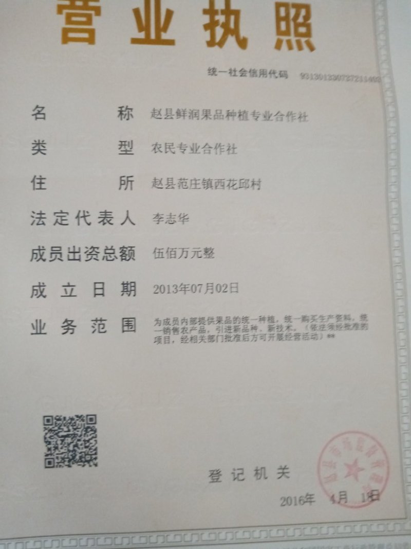 河北赵县皇冠梨产地冷库直供保证质量