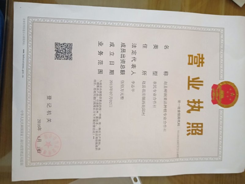鸭梨型号齐全果面好颜色白口感好