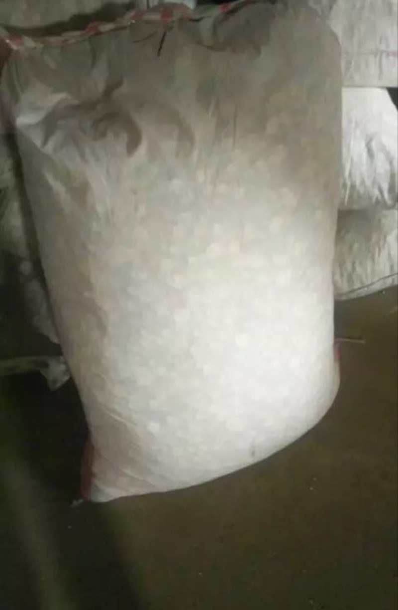 白芷袋装