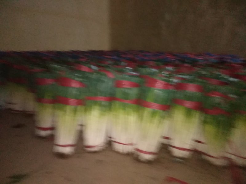 精品互助大葱