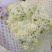 精品包菜，松花，红叶莴笋，青笋，黄心菜，辣椒，西芹，毛芹